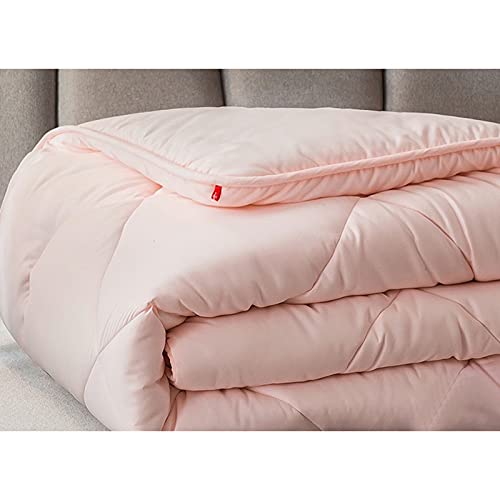 Winter Feather Duvet Comforter – Warm & Lightweight