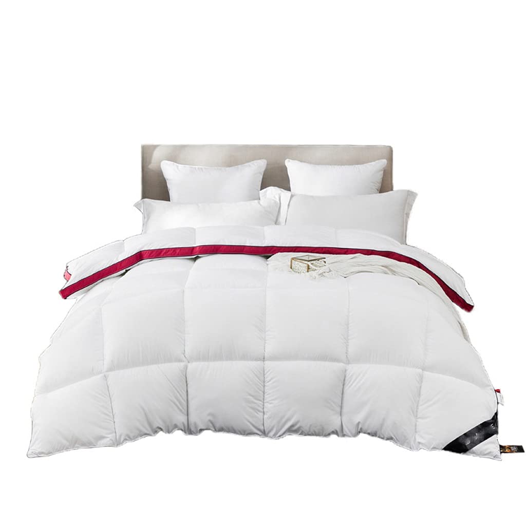 100% Goose Down Queen Duvet – Winter Weight, Beige